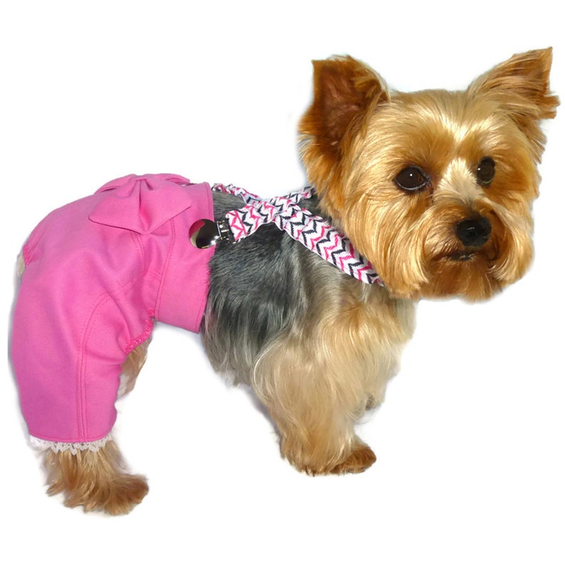 Dog Pants Sewing Pattern 1506 Pet Clothes Dog Clothes Patterns XXLg Dog Jeans Pattern Dog Clothing Dog Suspenders Pet Gifts