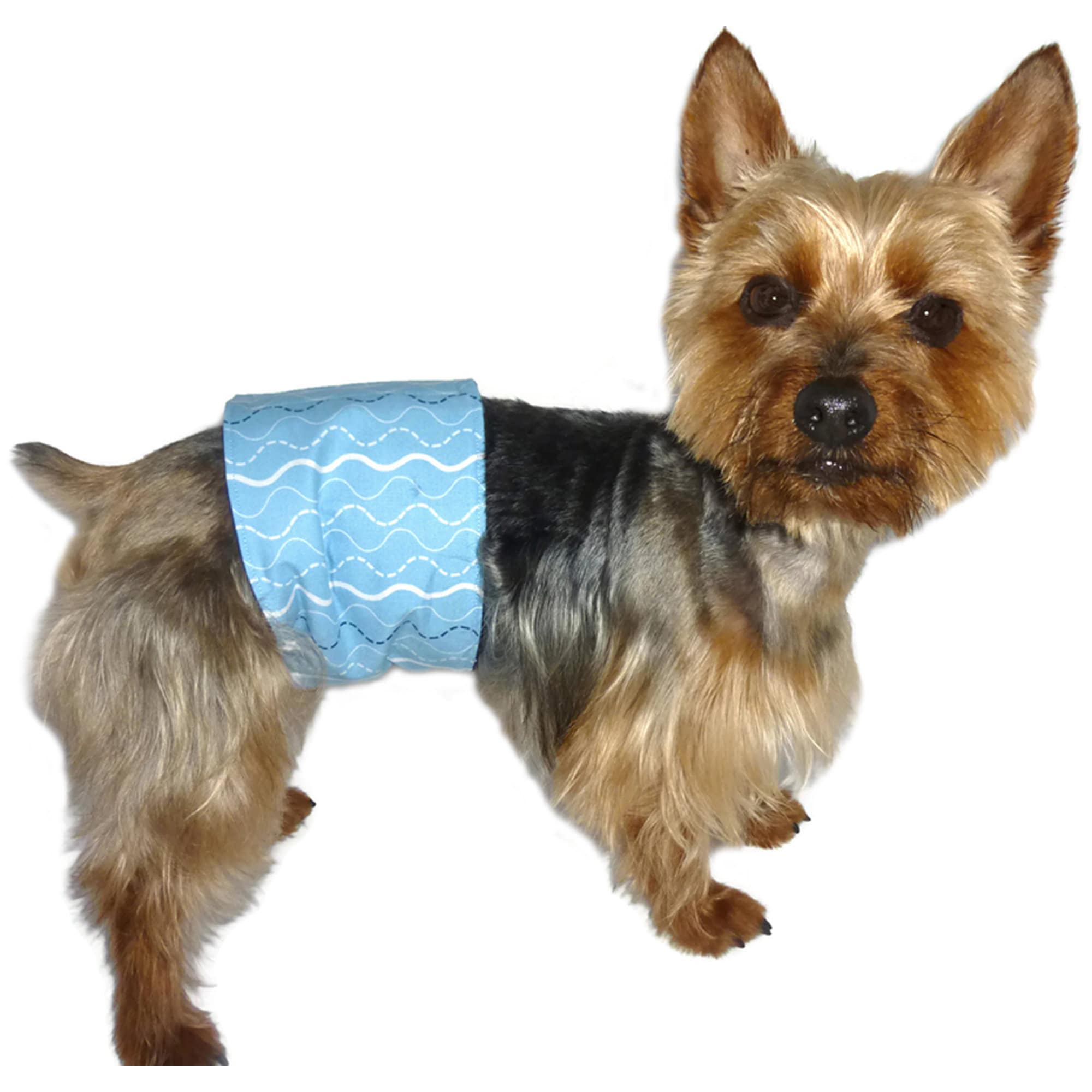 Dog Belly Band Sewing Pattern 1572 Male Dog Diapers Pet Etsy