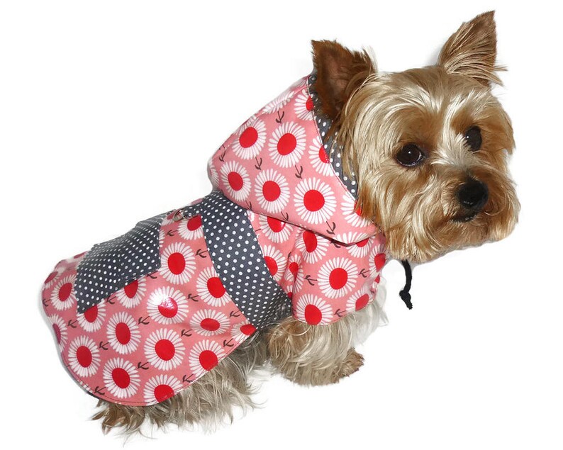 Dog Raincoat Sewing Pattern 1543 Dog Clothes Dog Coat Etsy