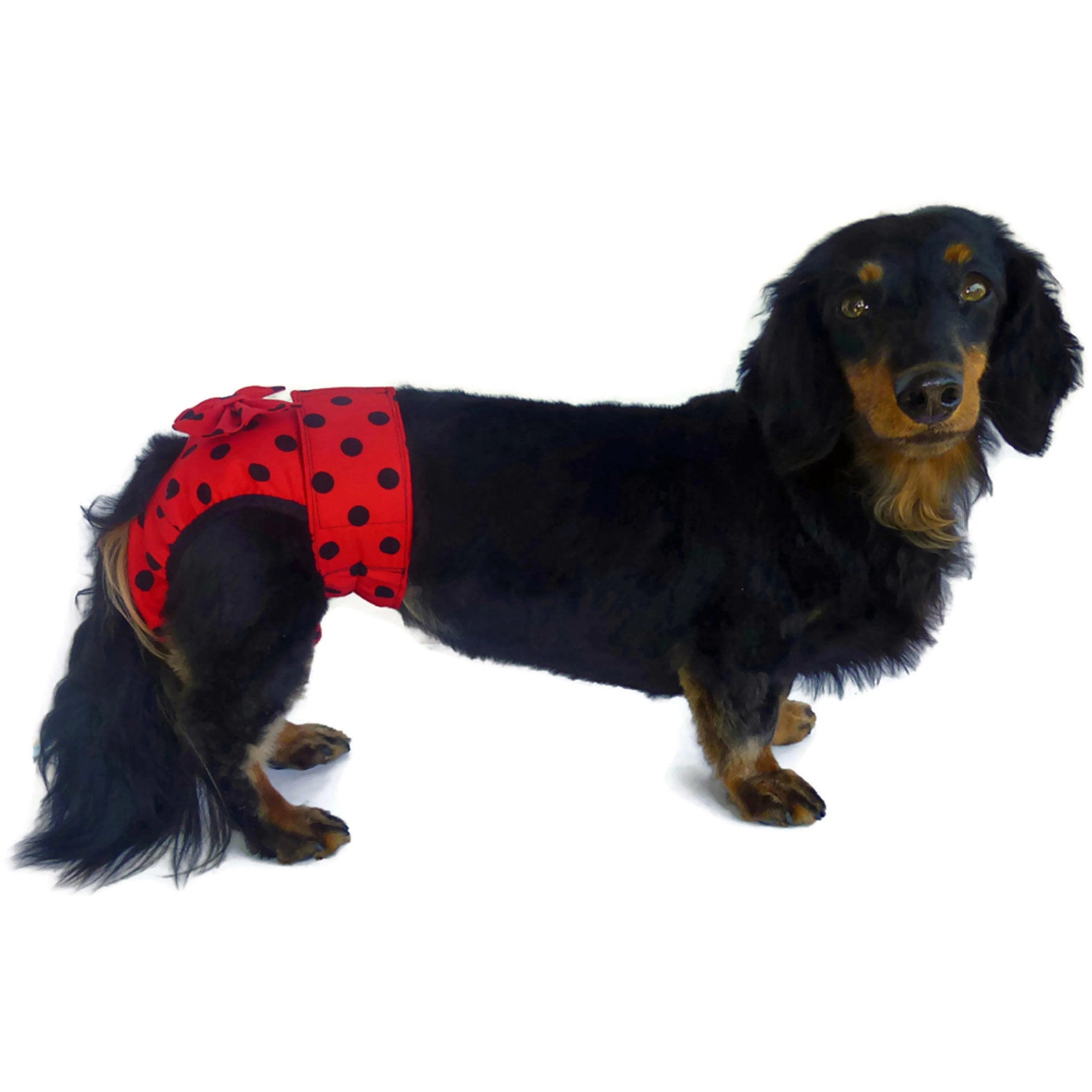 Dog Diaper Sewing Pattern 1579 Puppy Diapers Female Dog Etsy