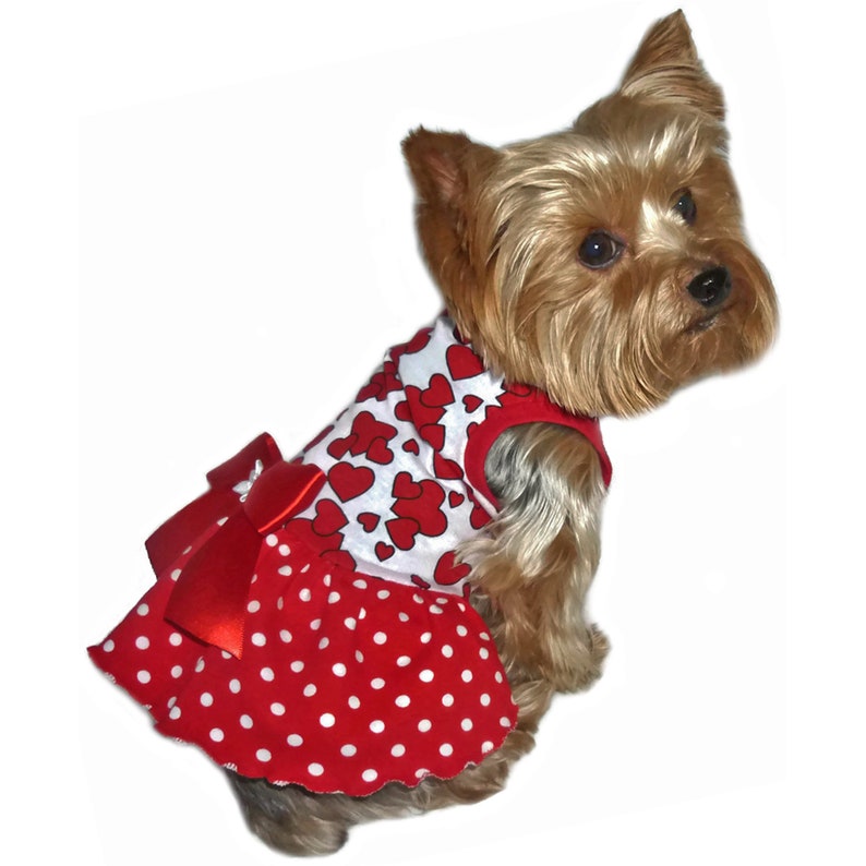 Suzi Que Dog Dress Sewing Pattern 1673 Dog Summer Dress Etsy