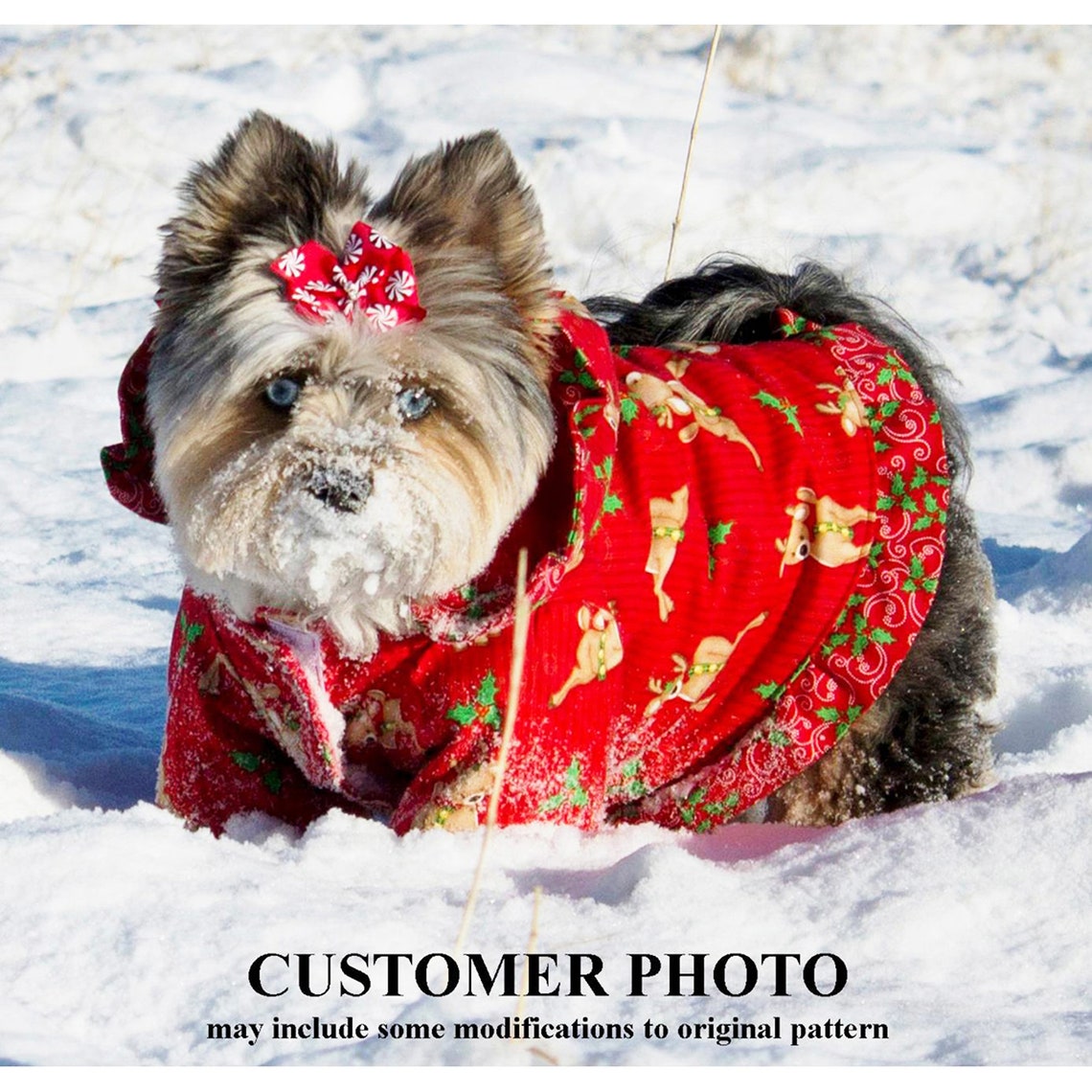Winter Dog Coat Sewing Pattern 1642 Dog Clothes PDF Patterns - Etsy
