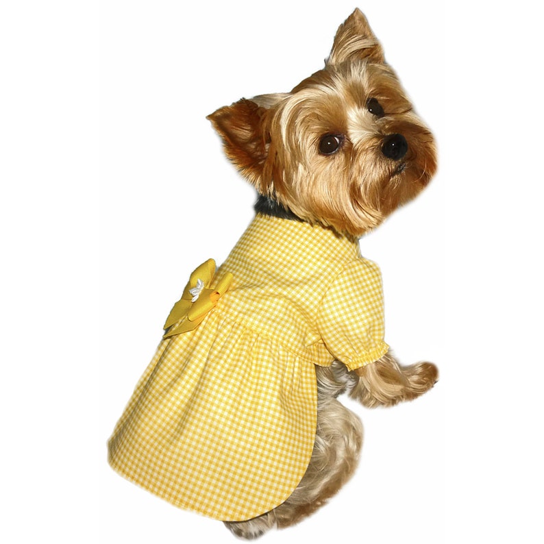 Sara Joe Dog Dress Sewing Pattern 1682 Cat Dog Dresses Cat Dog Clothes Patterns Dog Harnesses Dog Costumes Dog Clothing Sm & Med image 3