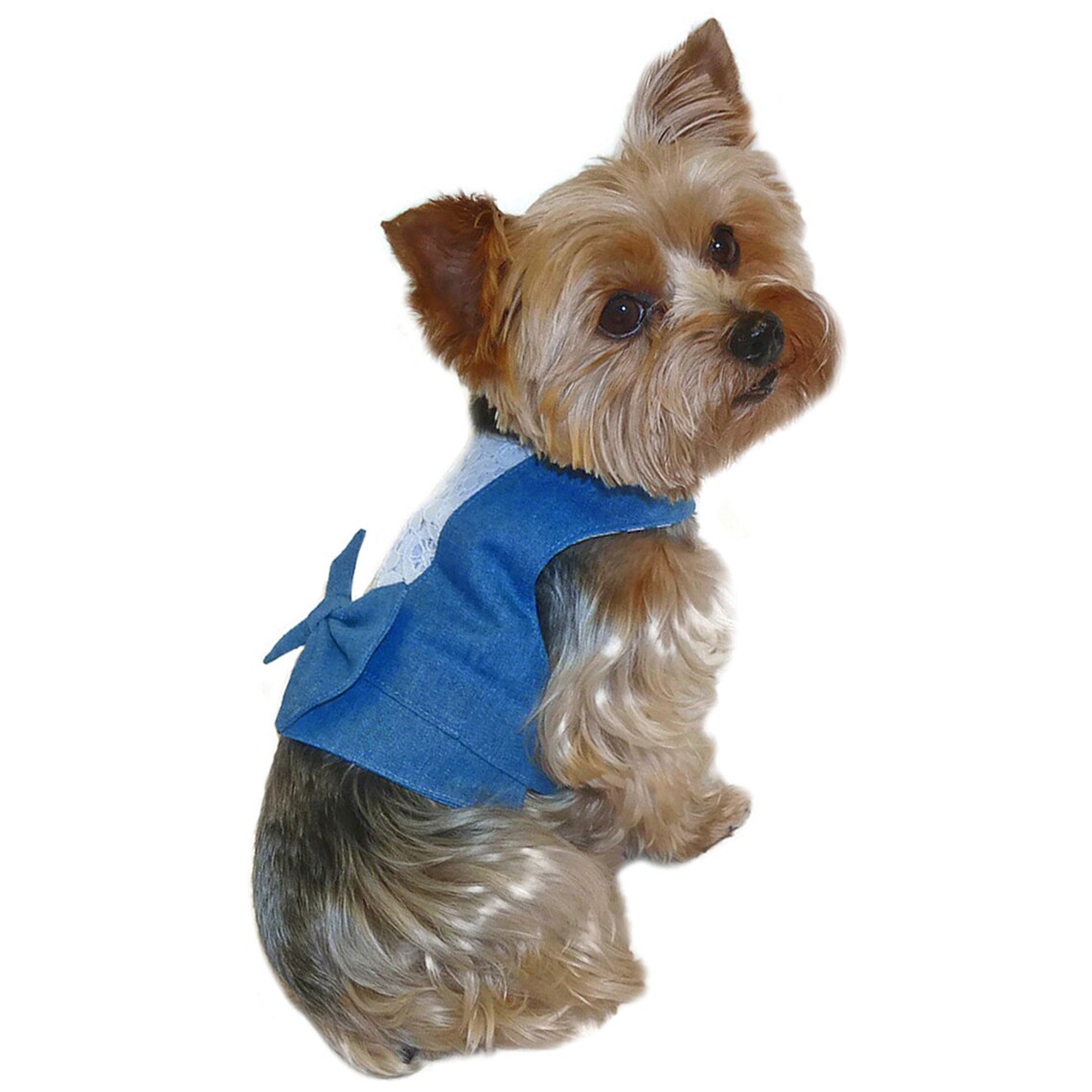 Dapper Dog Vest Sewing Pattern 1731 Dog and Cat Clothes Etsy