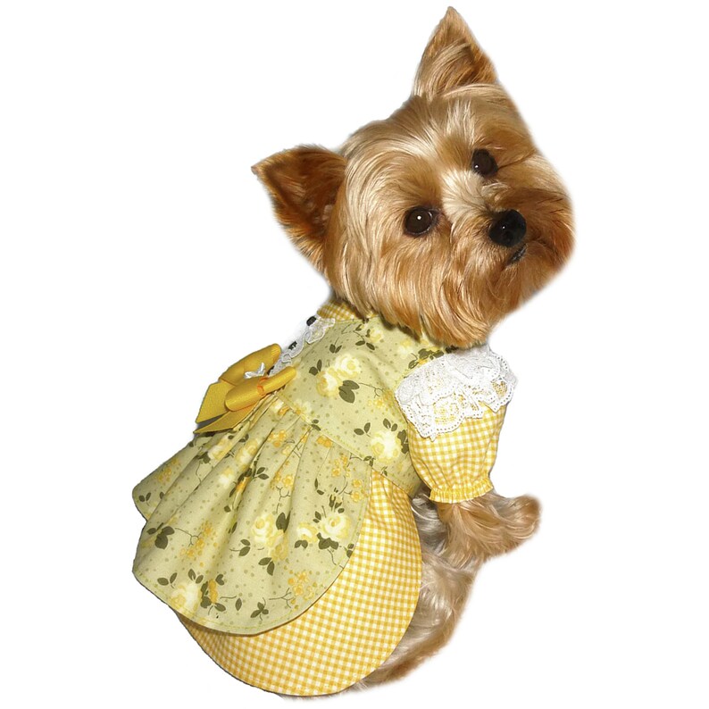 Sara Joe Dog Dress Sewing Pattern 1682 Cat Dog Dresses Cat Dog Clothes Patterns Dog Harnesses Dog Costumes Dog Clothing Sm & Med image 2