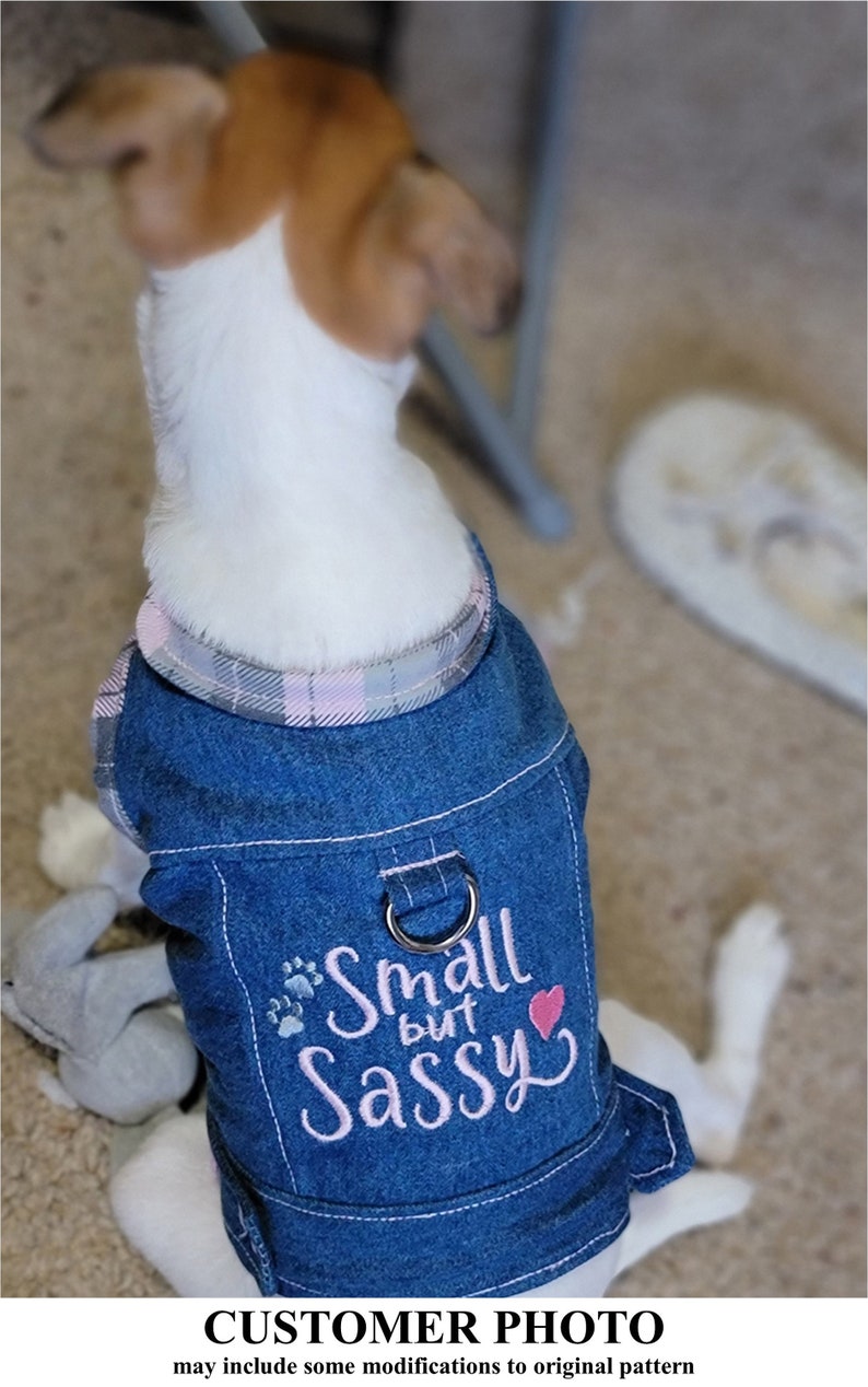 Jazzy Dog Jacket Sewing Pattern 1693 Leather Dog Jackets Etsy