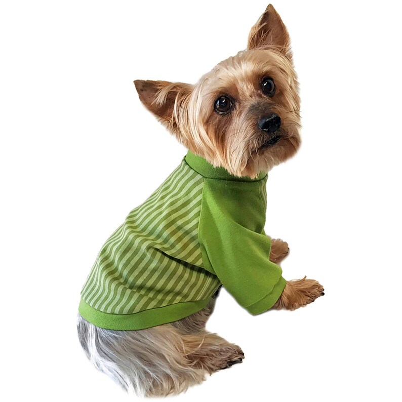 Dog Tee Shirt Pattern 1764 Dog Clothes Patterns Dog T Etsy