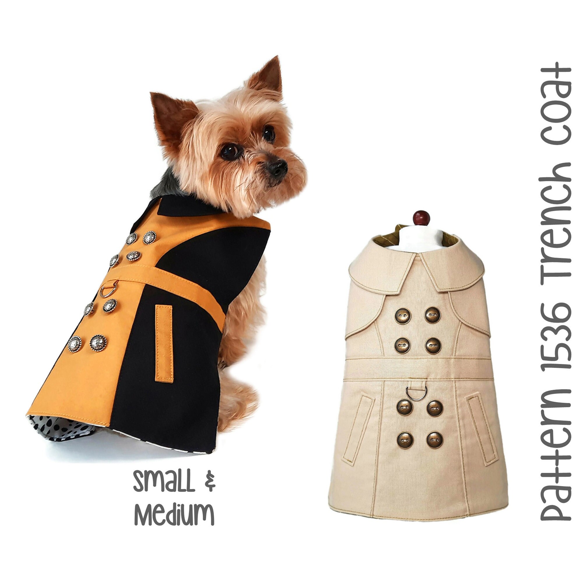 dog in a trench coat