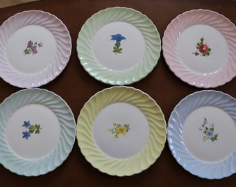 Lovely Vintage Decorative Dessert Plate Set 8.25 inch - Shabby Cottage Chic - Delicate Hand Painted Flowers  Pastel Borders - Made in Italy