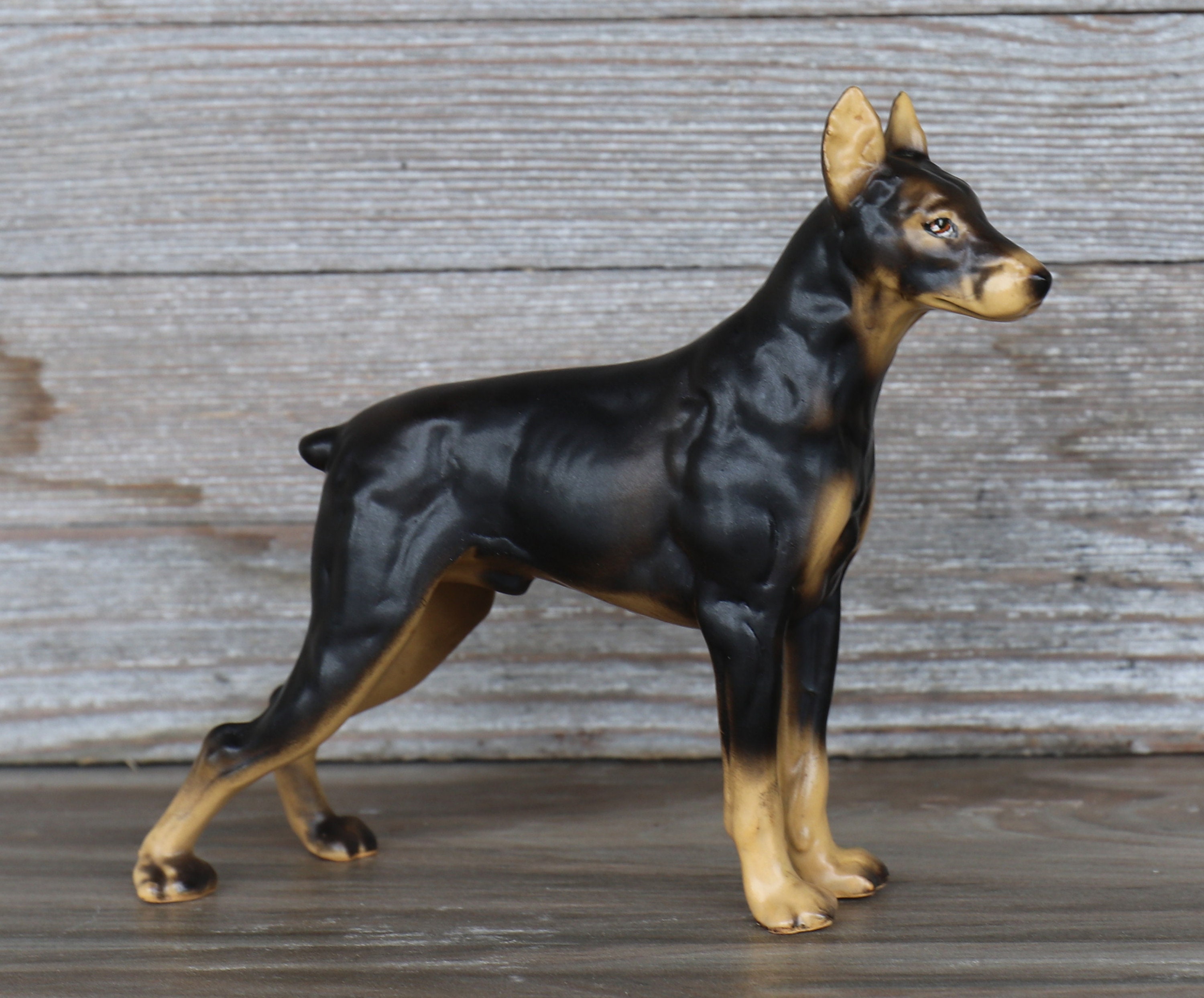 ハンサムでヴィンテージなリアルなドーベルマン・ピンシャー犬磁器製 