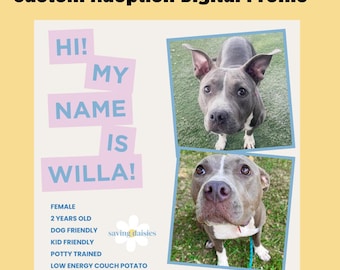 Custom Dog Cat Adoption Template Instagram Post Template Dog Adoption Marketing Flyer animal rescue template pet adoption profile foster bio