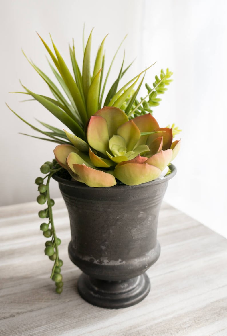 Faux Succulent Planter Bathroom Decor Rustic Decor Gift
