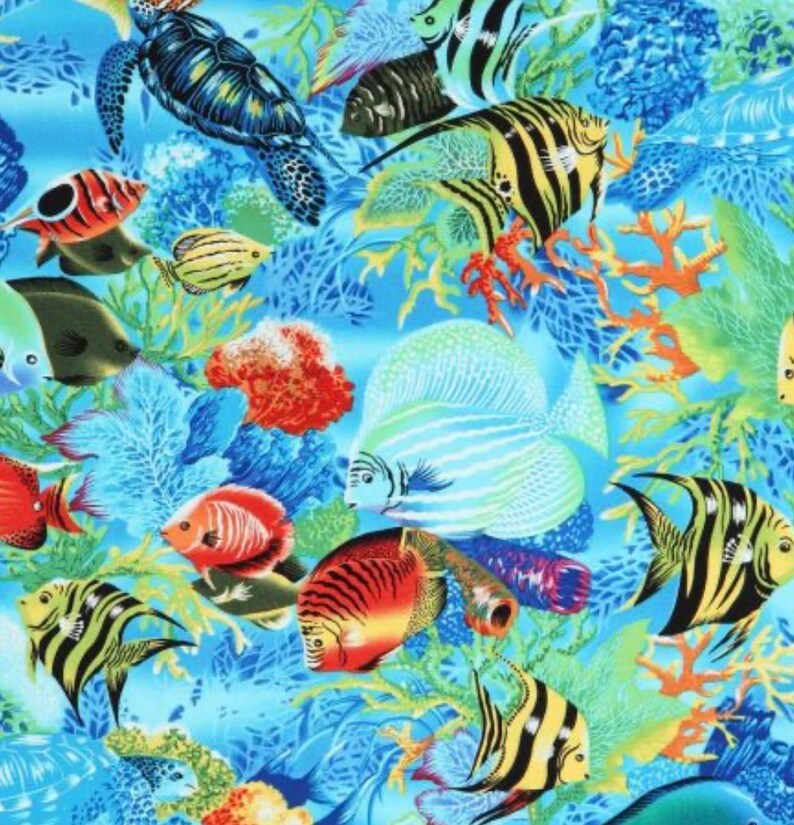 Tropical Fish Aquarian Fish Tank Turtles Colorful Exotic Etsy