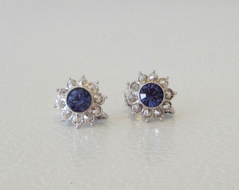 Pendientes con cierre de rosca Acero inoxidable con piedra semipreciosa de color azul oscuro