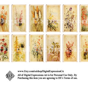 Cartões de chá, cartões de chá VINTAGE DIGITAL, botânicos, florais, cartões de chá falsos envelhecidos, enfeites de diário de lixo