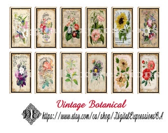 Beautiful Botanical Vintage Ephemera TEA Cards, Picture Botanical Scrapbooking  Junk Journal Embellishments, Tea Cards