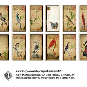 Cartões de chá, cartão postal BIRD EPHEMERA Cartões de chá digitais vintage, cartões de chá falsos florais vintage, enfeites de diário de lixo
