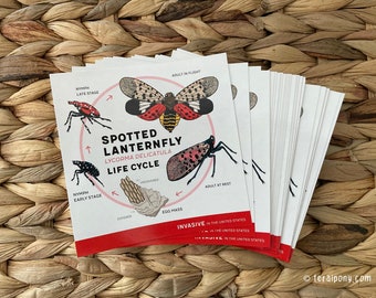 Spotted Lanternfly Lifecycle Stickers