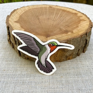 Kolibri Aufkleber | Vinyl-Aufkleber | Rubinkehlkolibri | Vogel Aufkleber