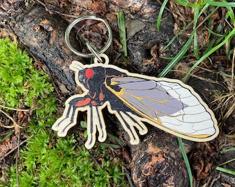 Cicada keychain | Wooden keychain | cicada art sustainable wood insect bug keychain