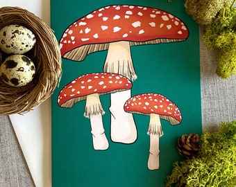 Toadstool Mushrooms Greeting Cards | Nature Notecard