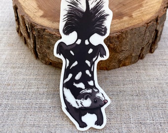 May include: A black and white sticker of a skunk with a white stripe down its back and a white patch on its face. The skunk is standing on its hind legs with its tail raised.