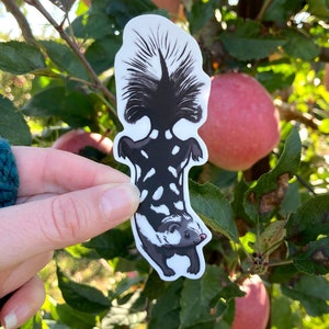 Cute skunkvinyl sticker