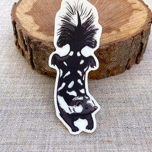 cute skunk sticker