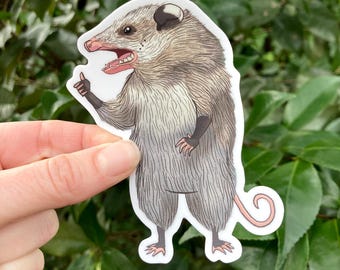 Opossum Vinyl Sticker | Waterproof Laptop Decal