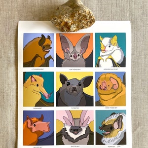 A colorful art print of nine different bat species. Each portrait of a happy bat is framed in a bright color square.