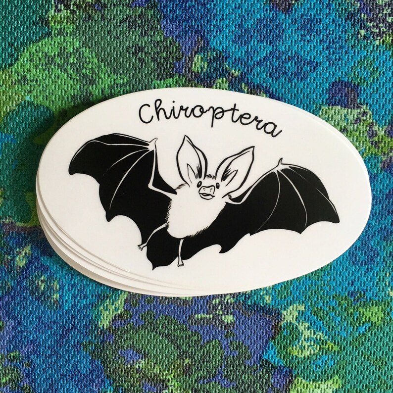 Cute Bat sticker Chiroptera sticker Long-eared bat vinyl sticker water bottle sticker image 2