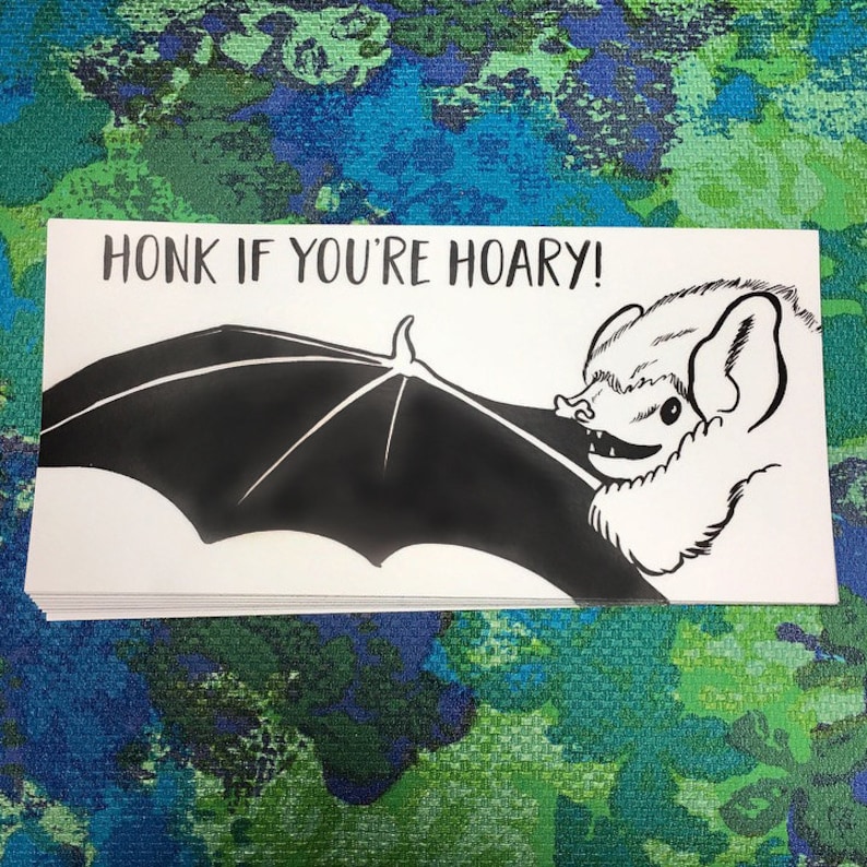 Bat Bumper Sticker Hoary Bat Vinyl Sticker Honk if you're hoary image 3