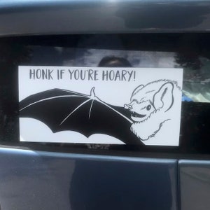 Bat Bumper Sticker Hoary Bat Vinyl Sticker Honk if you're hoary image 2