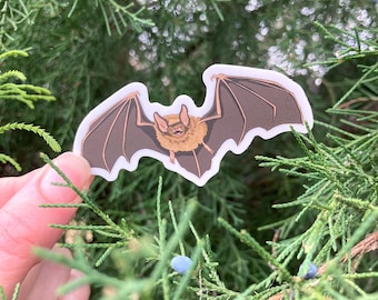 May include: A sticker featuring a cartoon bat with outstretched wings. The bat has brown wings, a tan body, and a white border. The sticker is held in front of a background of green foliage with small blue berries.