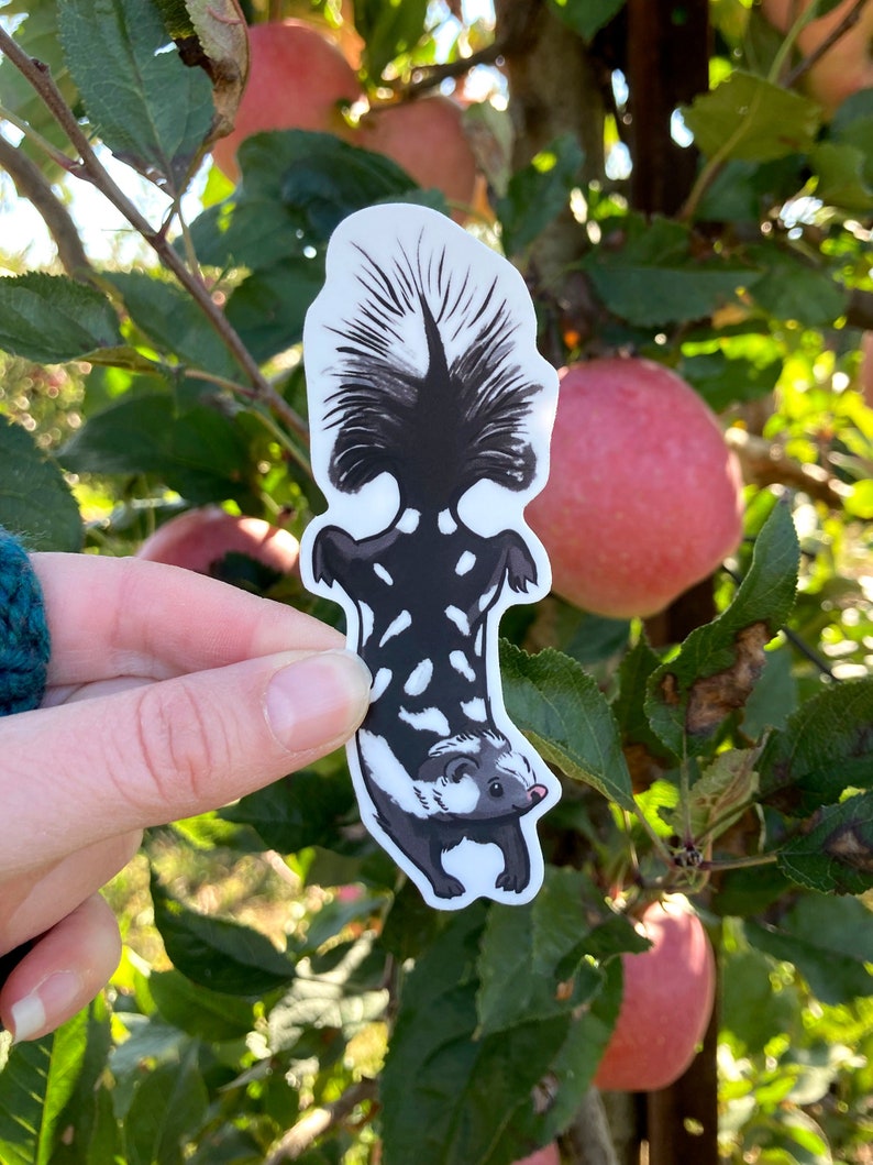 Cute skunkvinyl sticker