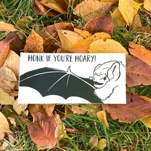 May include: A rectangular sticker with the text "HONK IF YOU'RE HOARY!" features a black and white illustration of a bat. The sticker is set against a backdrop of fallen autumn leaves and grass.