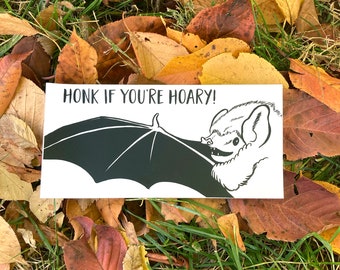 Puede incluir: Una pegatina rectangular con el texto "HONK IF YOU'RE HOARY!" presenta una ilustración en blanco y negro de un murciélago. La pegatina está colocada sobre un fondo de hojas de otoño caídas y hierba.