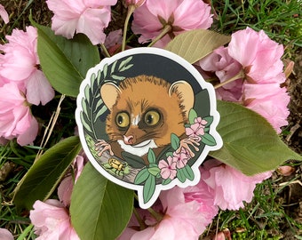 Mouse Lemur Sticker | Vinyl Sticker | Lemur Sticker |