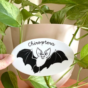 Cute Bat sticker | Chiroptera sticker | Long-eared bat | vinyl sticker | water bottle sticker