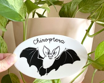 Cute Bat sticker | Chiroptera sticker | Long-eared bat | vinyl sticker | water bottle sticker