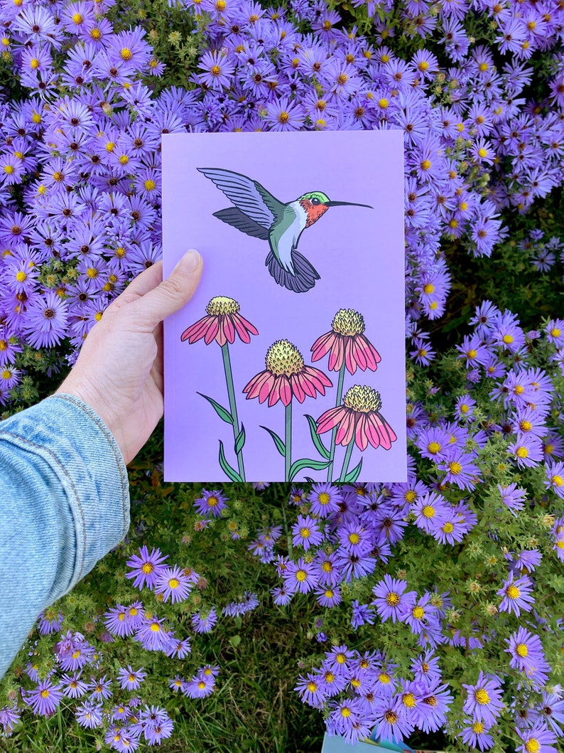 Hummingbird and coneflowers journal blank book