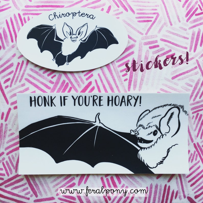 Cute Bat sticker Chiroptera sticker Long-eared bat vinyl sticker water bottle sticker image 3