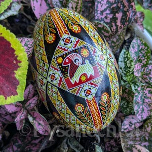Pysanka Real Ukrainian Goose Easter Egg Best by Halyna Pisanki Osterei handmade Best gift idea Decorative painted gifts Pysanky