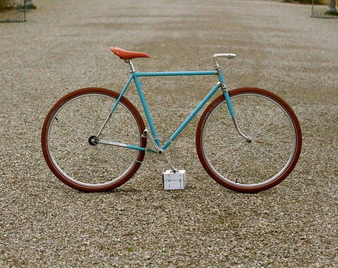 24 coaster brake bike