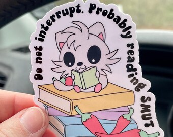 Reading Smut Sticker: Do Not Interrupt, Spicy Romance Reader