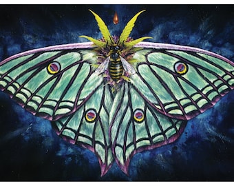 Food for Thought ~ Luna moth, bumble bee, art print