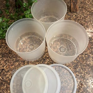May include: A set of four translucent plastic containers with matching lids. The containers are cylindrical with a slightly flared rim. The lids are round and fit snugly on top. The containers are designed for food storage.