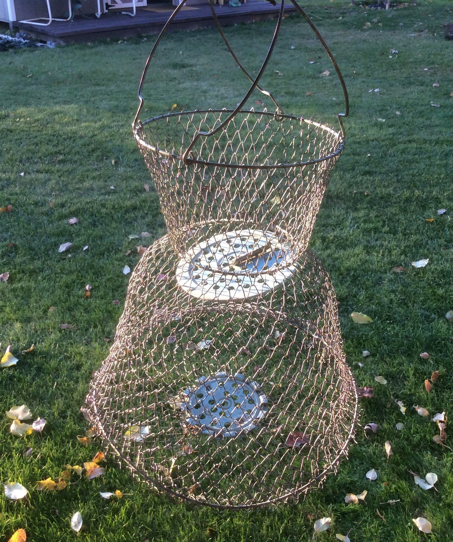 Vintage Wire Mesh Fish Trap Basket 2 Tiered Wire Hanging Etsy