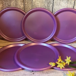 Vintage PackerWare Plastic Purple Plates x 6, Summer Picnic Patio BBQ Unbreakable Plates Made in USA