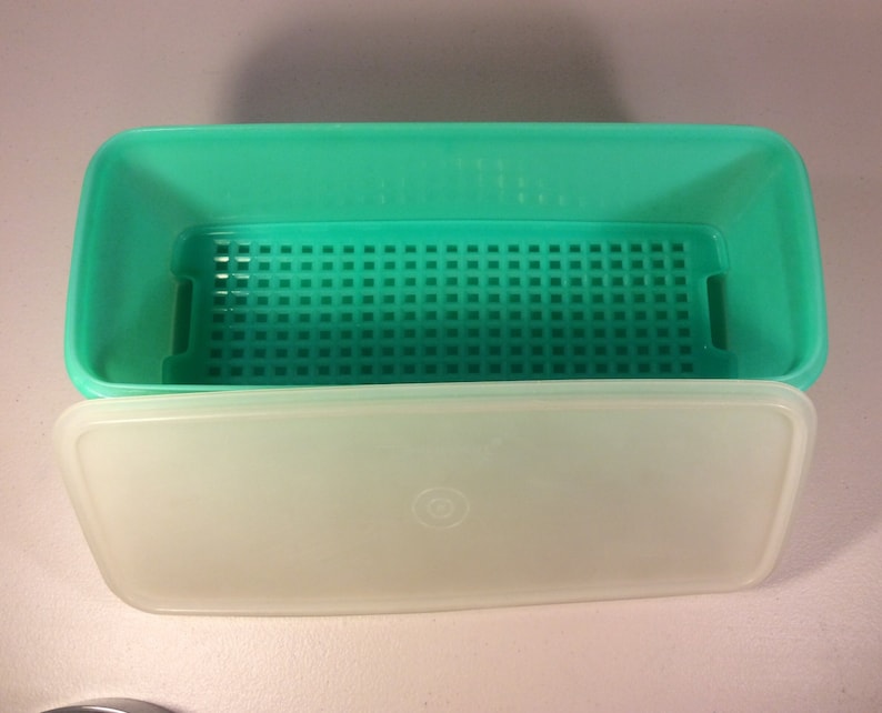 Vintage Green Tupperware Celery Keeper 3 Piece Jadeite Etsy